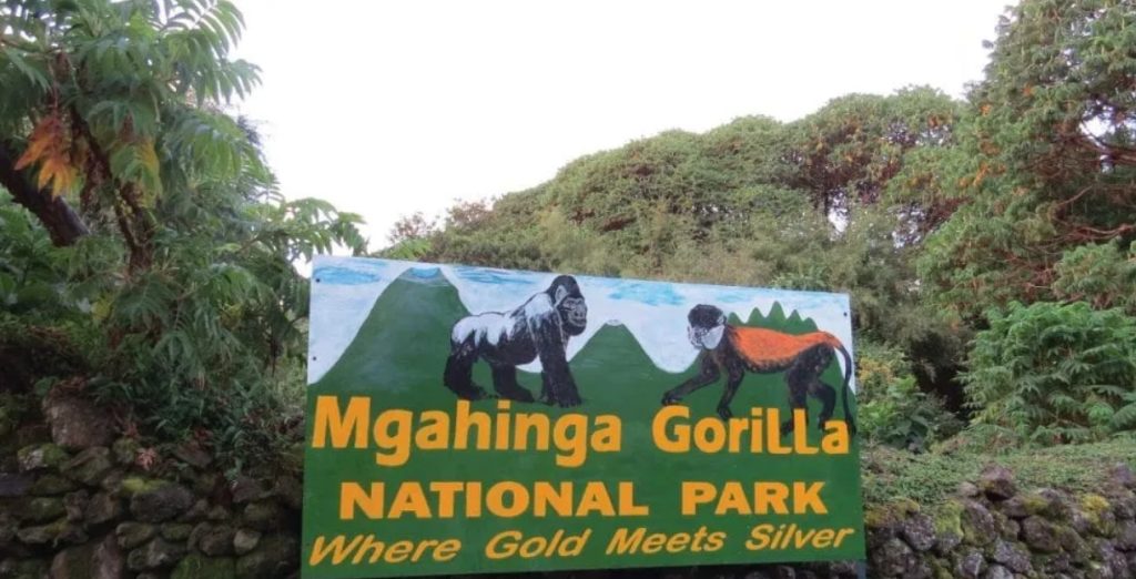 What Makes Mgahinga a Unique Destination?