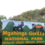 What Makes Mgahinga a Unique Destination?