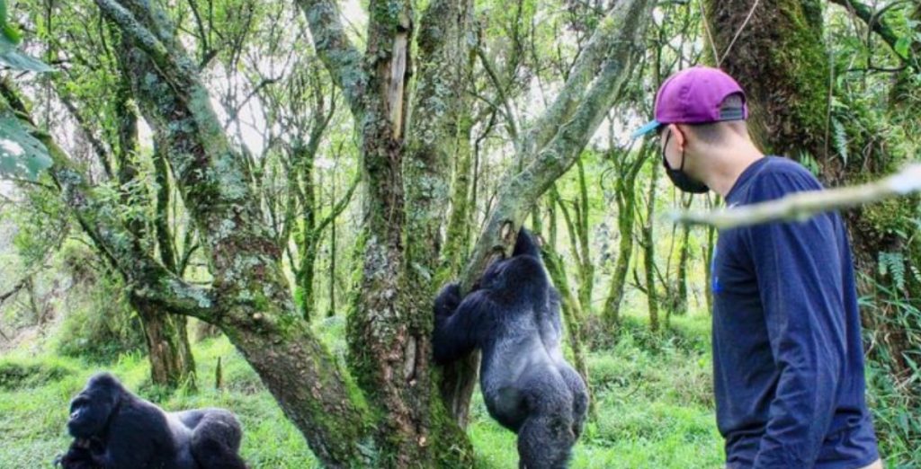 What to do in Mgahinga National Park?