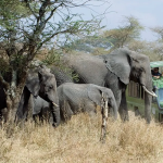 Why Travelers Should Choose Uganda for Safaris than Other Destinations?